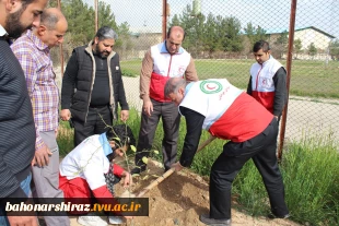 مراسم درختکاری در دانشکده شهید باهنر شیراز به روایت تصویر  5