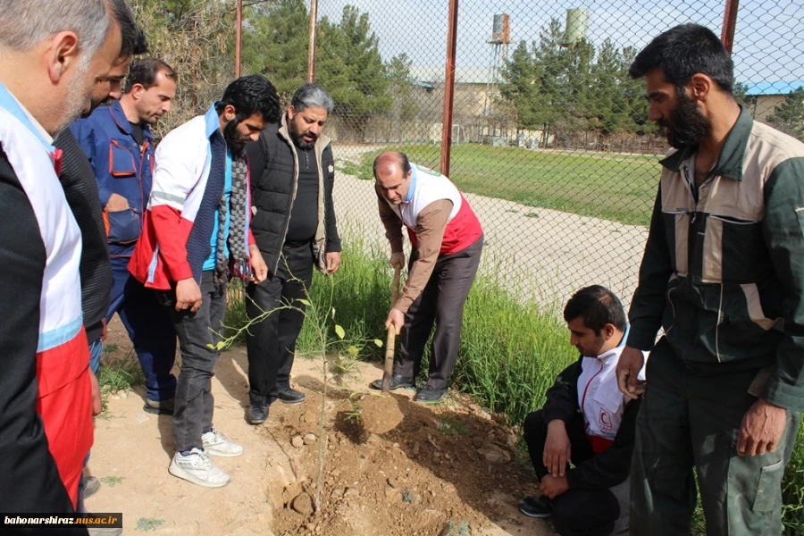 مراسم درختکاری در دانشکده شهید باهنر شیراز به روایت تصویر  6