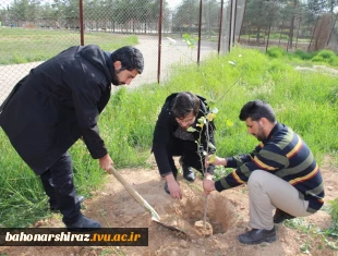 مراسم درختکاری در دانشکده شهید باهنر شیراز به روایت تصویر  7