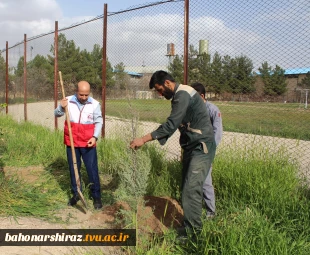 مراسم درختکاری در دانشکده شهید باهنر شیراز به روایت تصویر  12