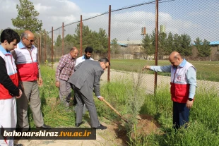 مراسم درختکاری در دانشکده شهید باهنر شیراز به روایت تصویر  13