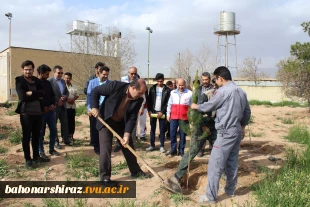 مراسم درختکاری در دانشکده شهید باهنر شیراز به روایت تصویر  15