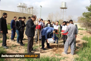 مراسم درختکاری در دانشکده شهید باهنر شیراز به روایت تصویر  16