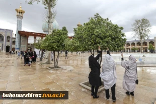 گزارش تصویری | شمیم بهاری در اردیبهشت شیراز 2