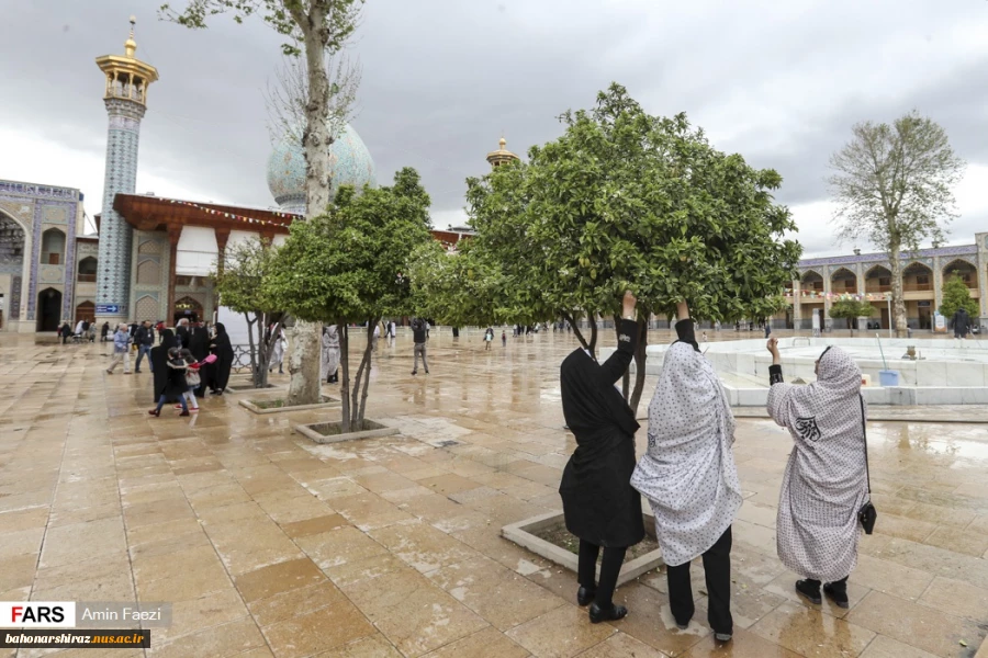 گزارش تصویری | شمیم بهاری در اردیبهشت شیراز 2