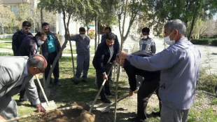 مراسم درختکاری در دانشکده فنی شهید باهنر شیراز + تصاویر  2