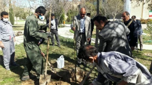 مراسم درختکاری در دانشکده فنی شهید باهنر شیراز + تصاویر  3