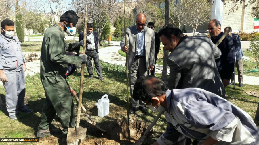 مراسم درختکاری در دانشکده فنی شهید باهنر شیراز + تصاویر  3