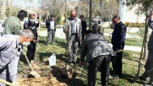 مراسم درختکاری در دانشکده فنی شهید باهنر شیراز + تصاویر  5