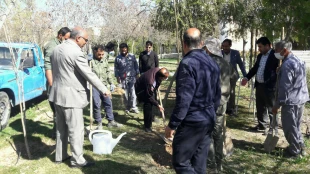 مراسم درختکاری در دانشکده فنی شهید باهنر شیراز + تصاویر  9