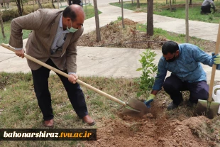 گزارش تصویری از برگزاری آئین روز درختکاری در دانشگاه فنی و حرفه ای استان فارس 4