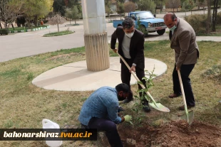 گزارش تصویری از برگزاری آئین روز درختکاری در دانشگاه فنی و حرفه ای استان فارس 9